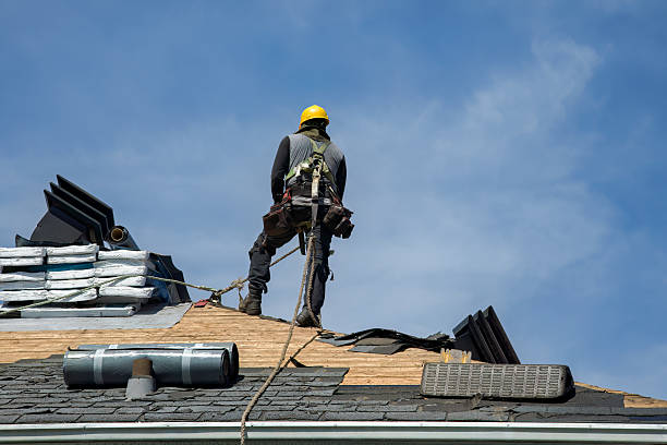 Professional Flat Roof Repair technician working in Berthoud, CO